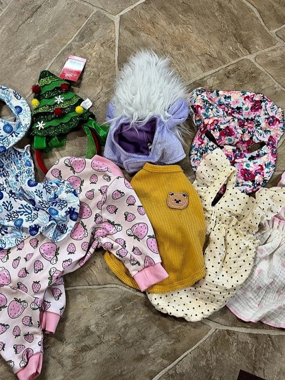 Nine piece girl dog clothing set